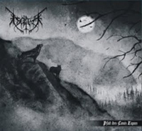 Isolfur - Pfad des Canis Lupus Isolfur - Pfad des Canis Lupus